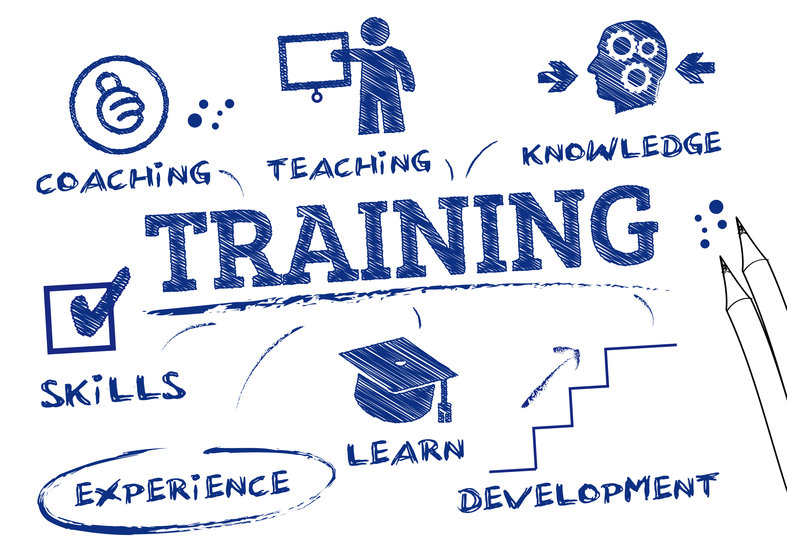 Treinamento corporativo: Como anda a área de treinamentos da sua empresa?